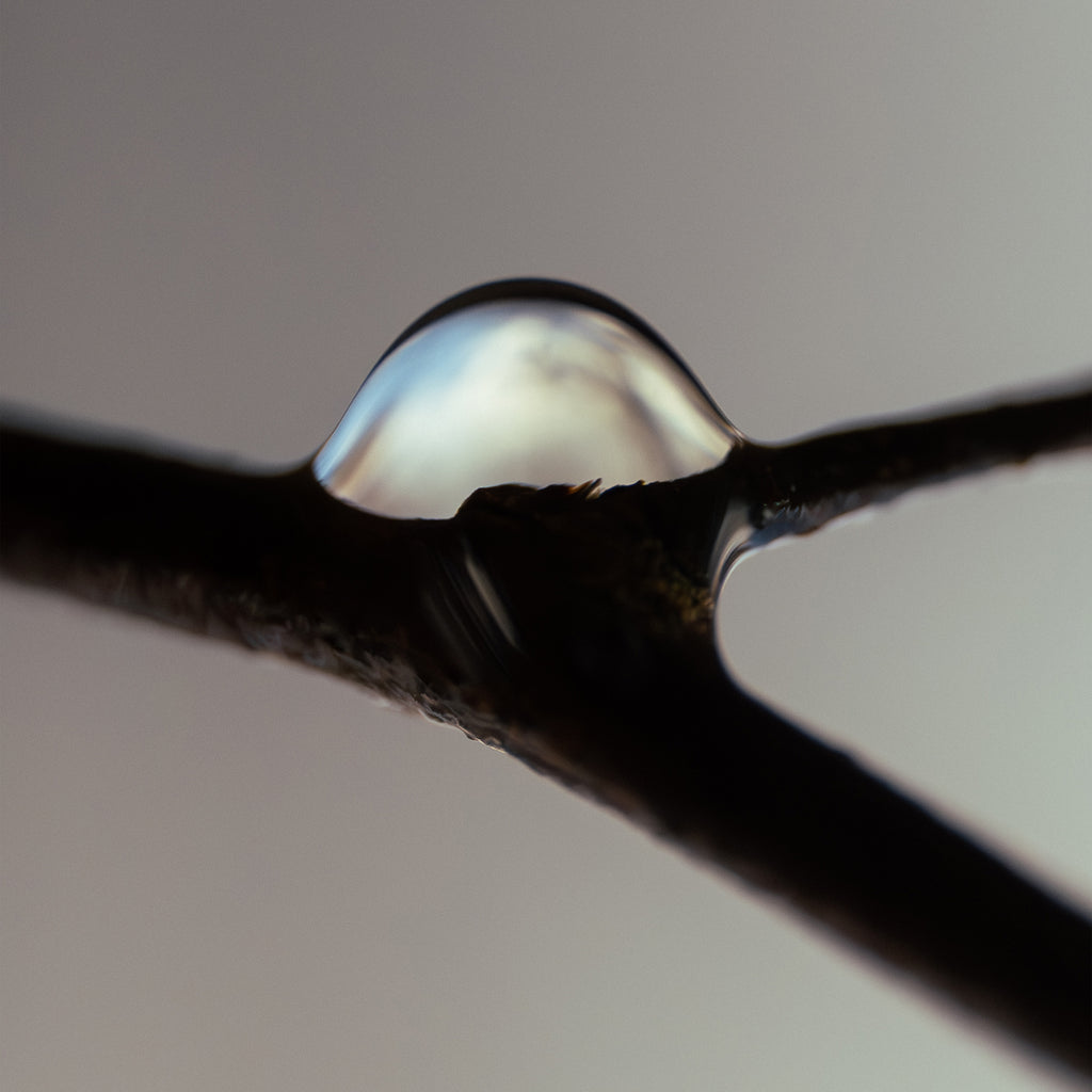 A water droplet