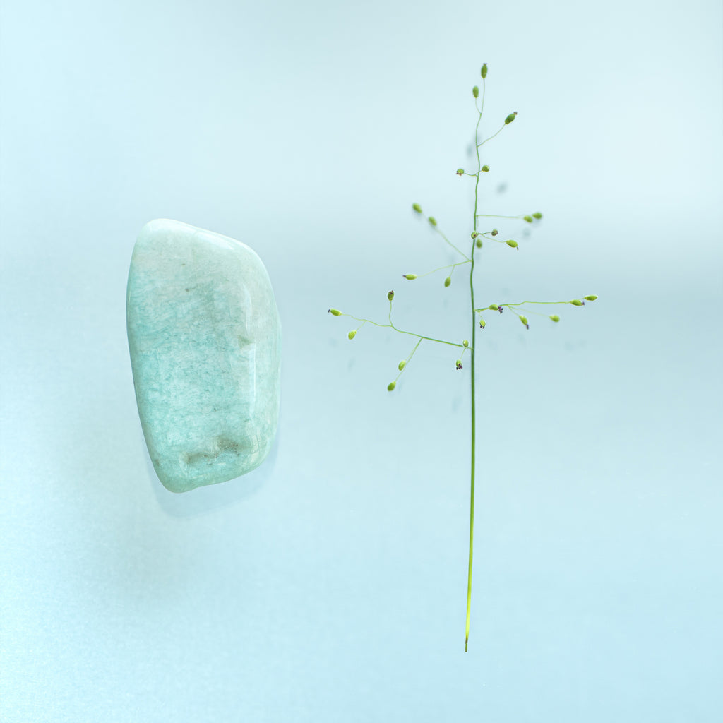 A plant stem on stone